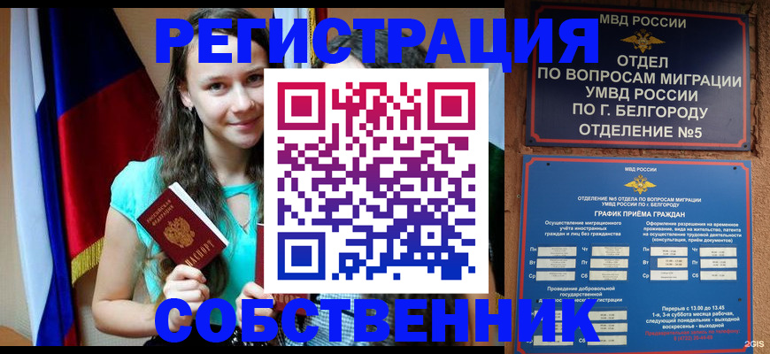 прописка 2025 в Щёлково